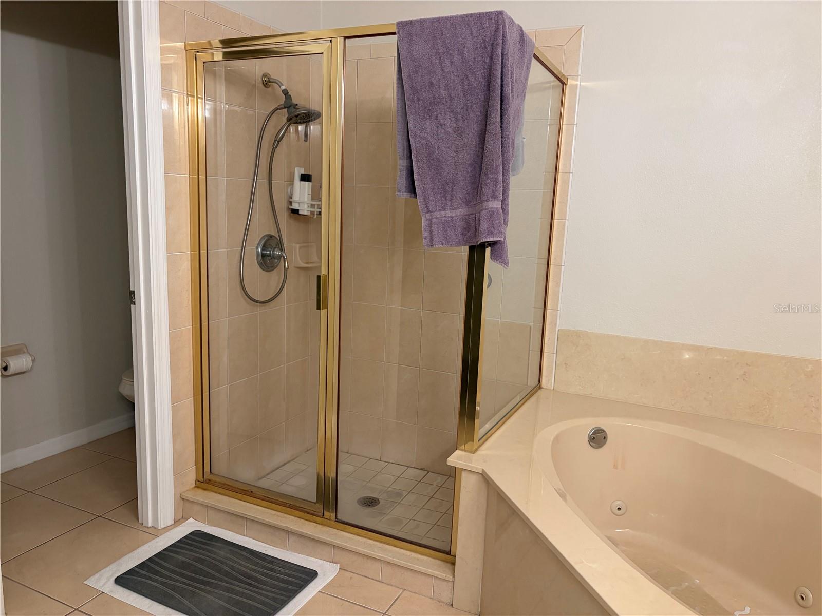 Image 12 of 32 For 1705 Saint Tropez Court