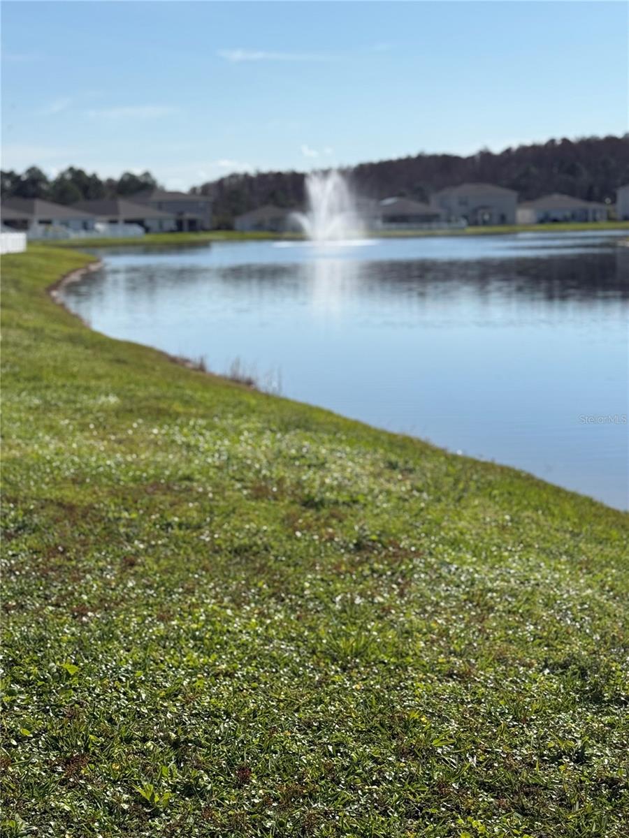 Image 18 of 40 For 355 White Heron Way