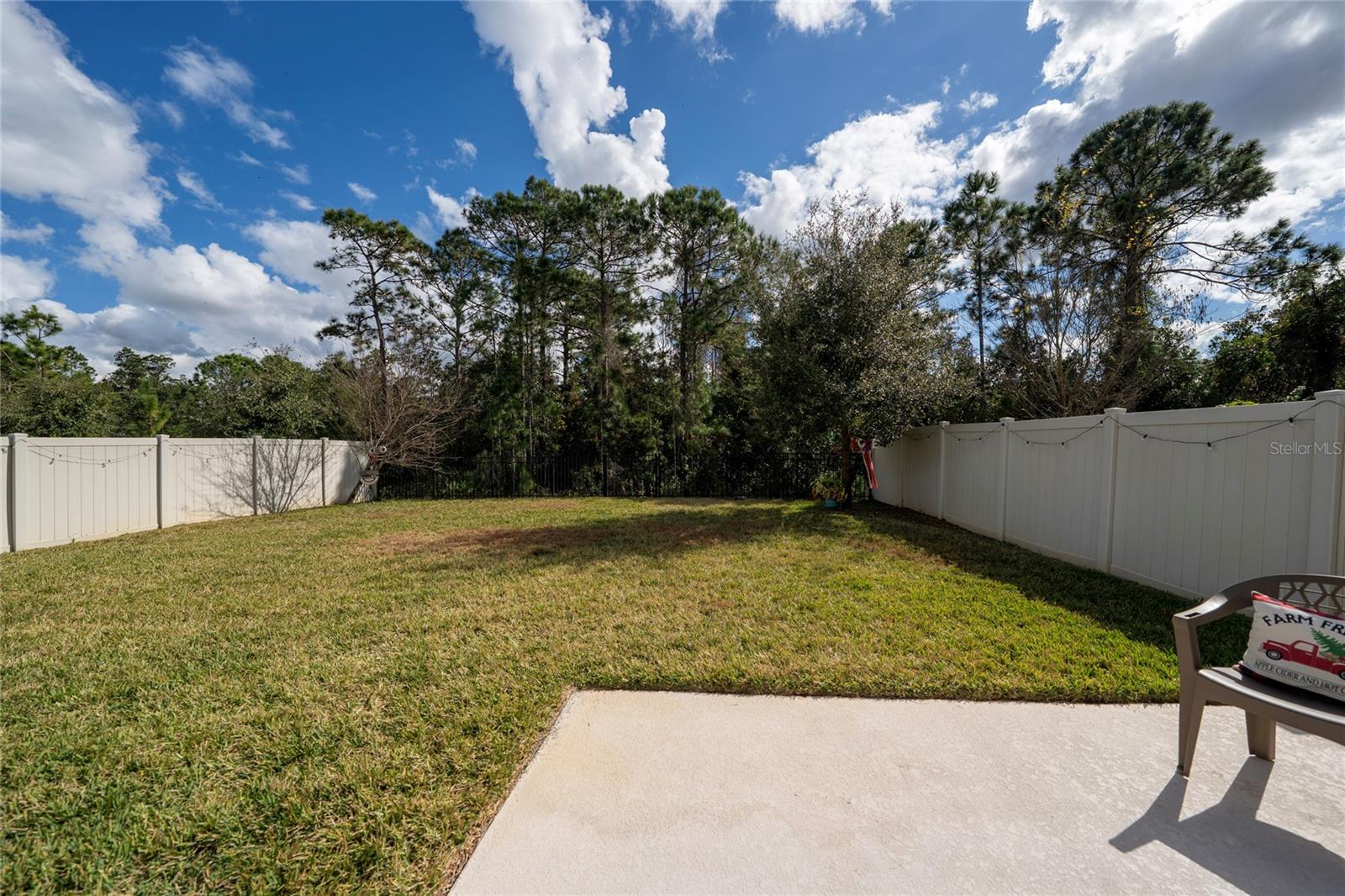 Image 32 of 33 For 9544 Brown Burrow Street