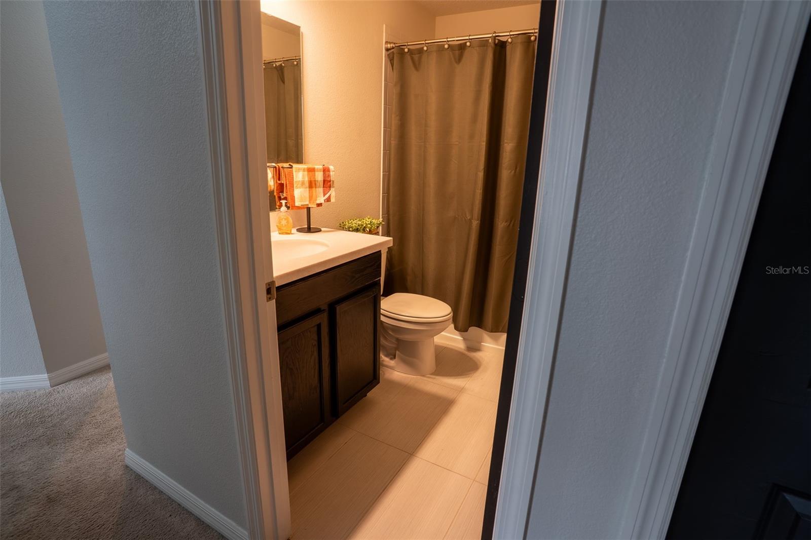 Image 44 of 63 For 9860 Aurea Moss Lane