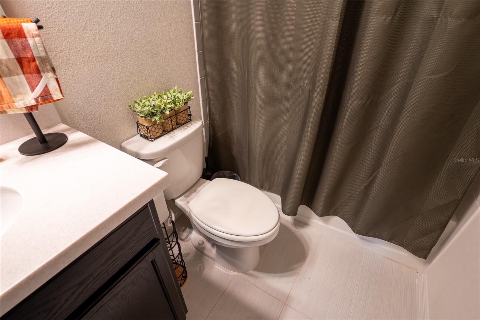 Image 46 of 63 For 9860 Aurea Moss Lane