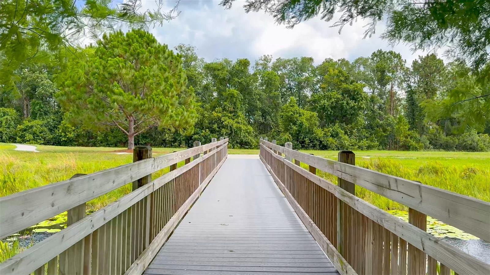 Image 60 of 81 For 6829 Sundrop Street