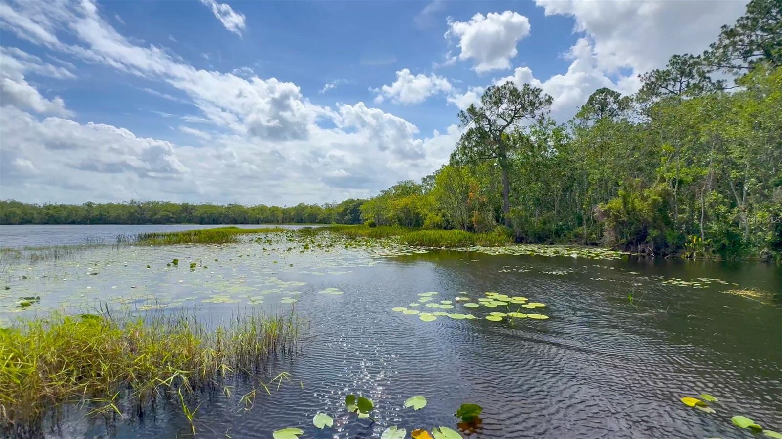 Image 65 of 81 For 6829 Sundrop Street