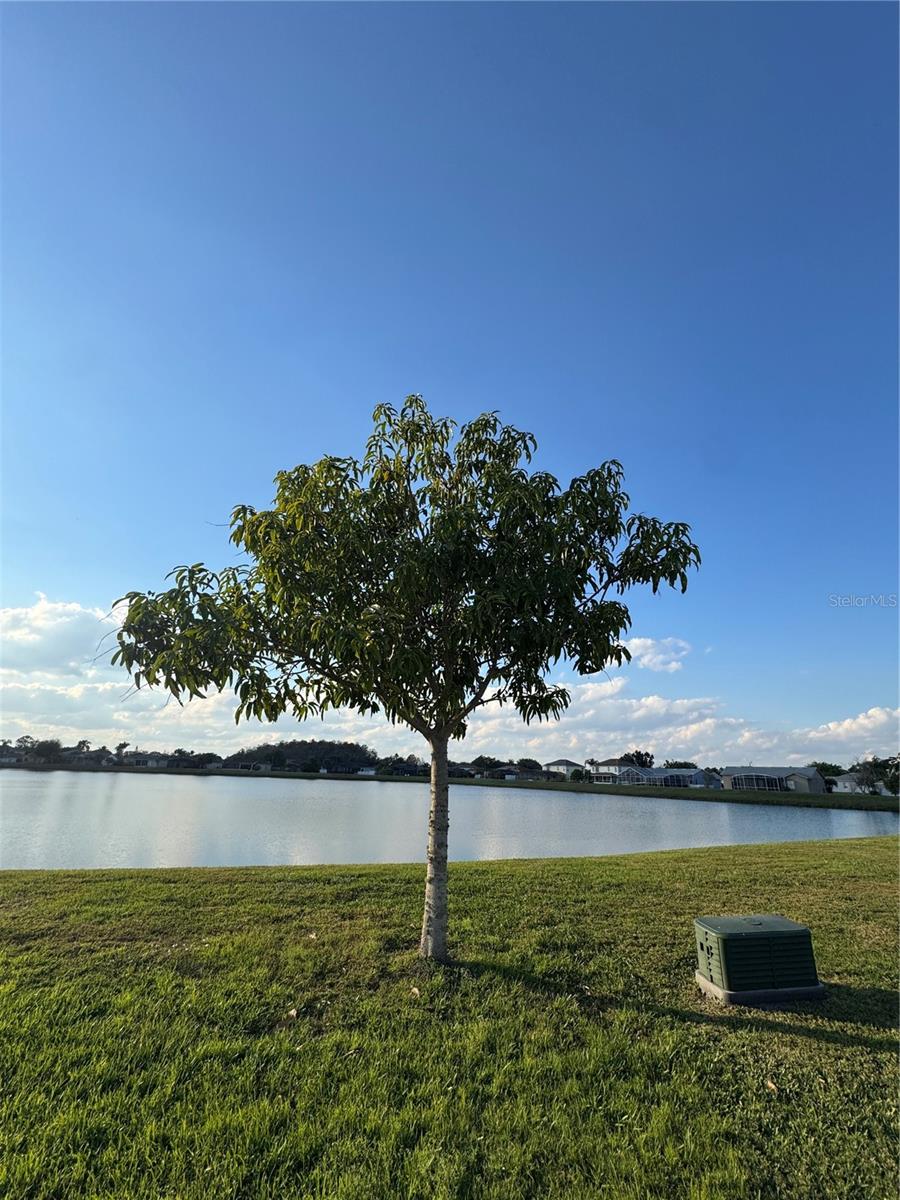 Image 36 of 42 For 2652 Hawthorne Lane