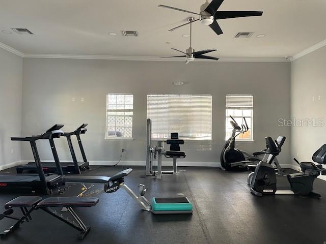 Image 13 of 14 For 6536 Goldenrod Road 67a