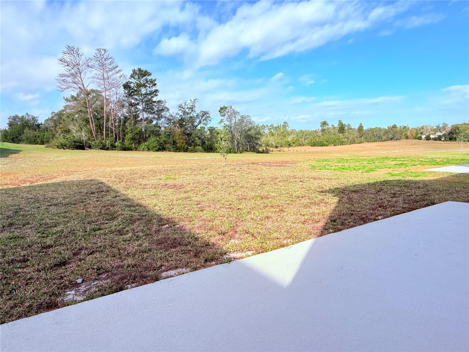 Image 8 of 41 For 1308 Sterling Pointe Drive