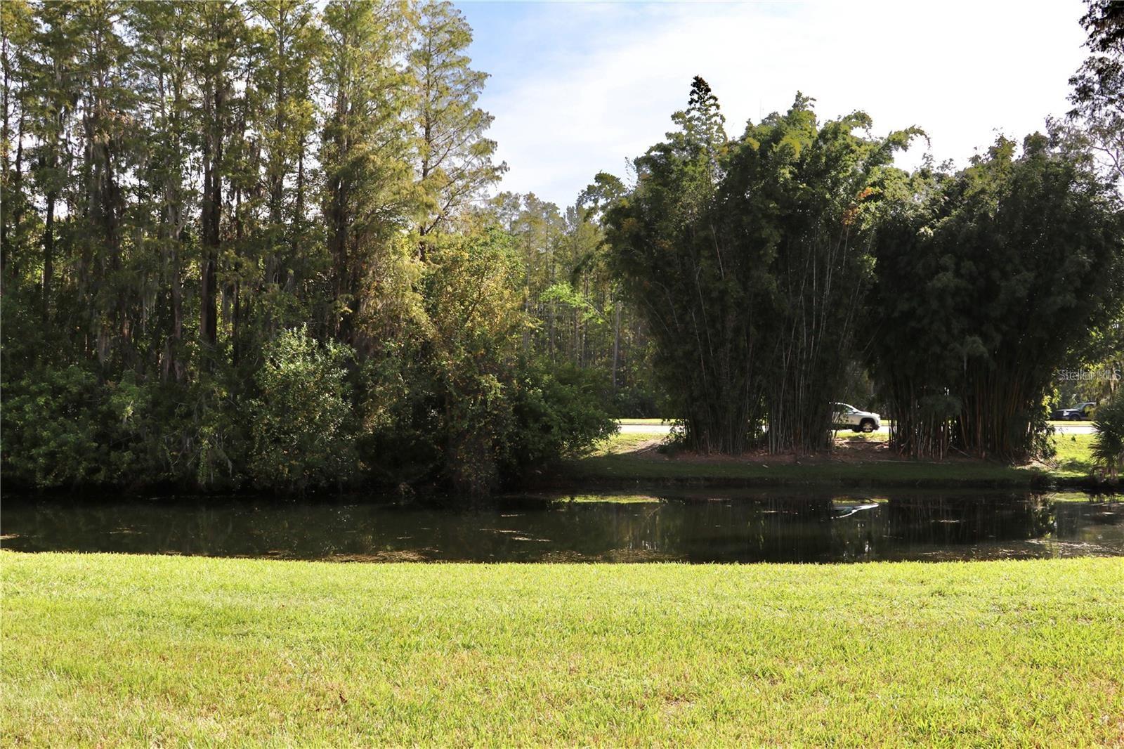 Image 25 of 28 For 13548 Turtle Marsh Loop 413