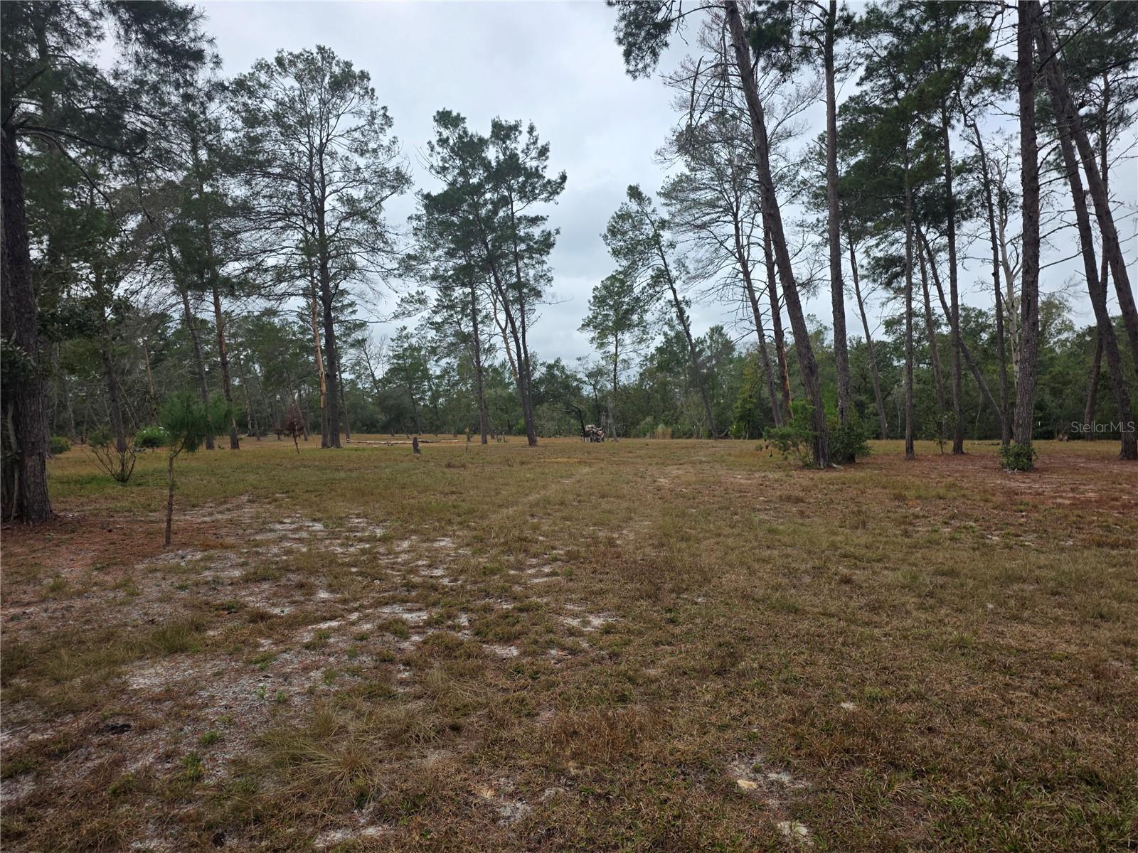 Image 4 of 9 For Cooter Pond Road