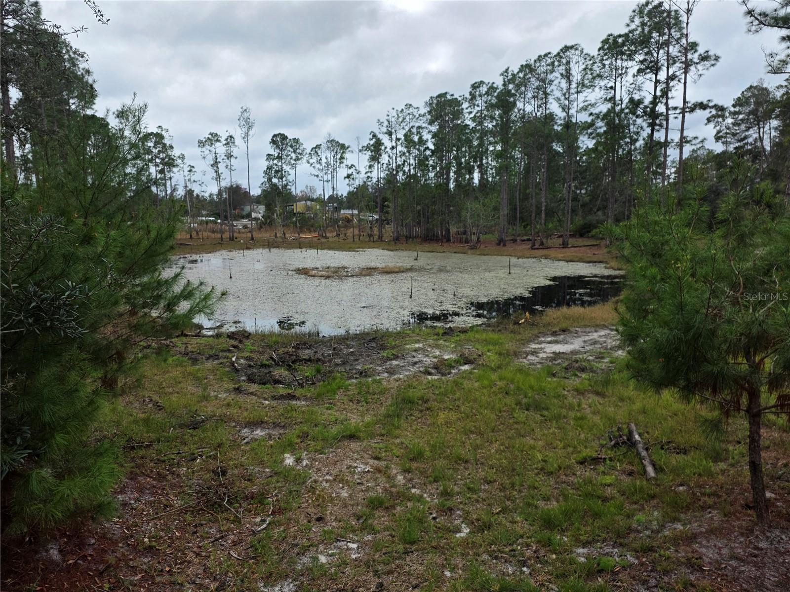 Image 5 of 9 For Cooter Pond Road