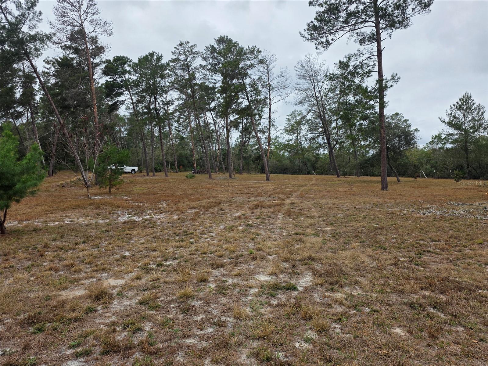 Image 6 of 9 For Cooter Pond Road