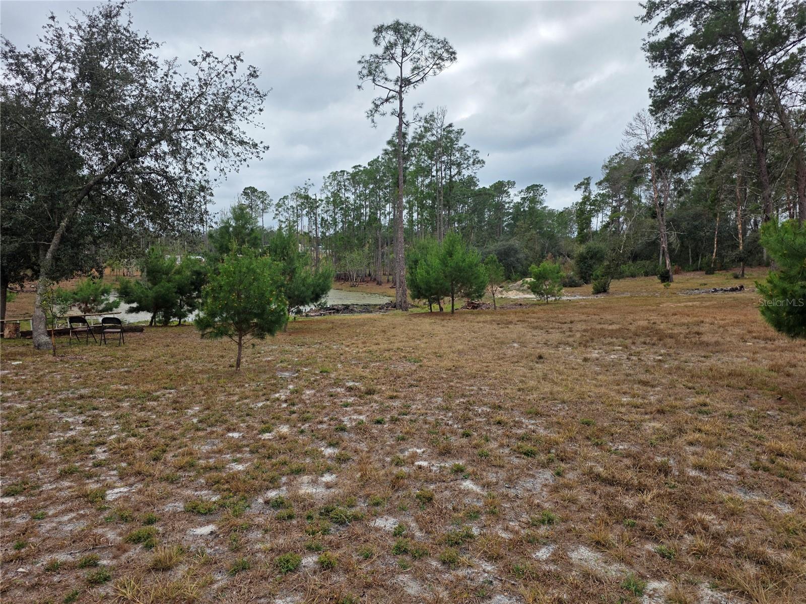 Image 7 of 9 For Cooter Pond Road