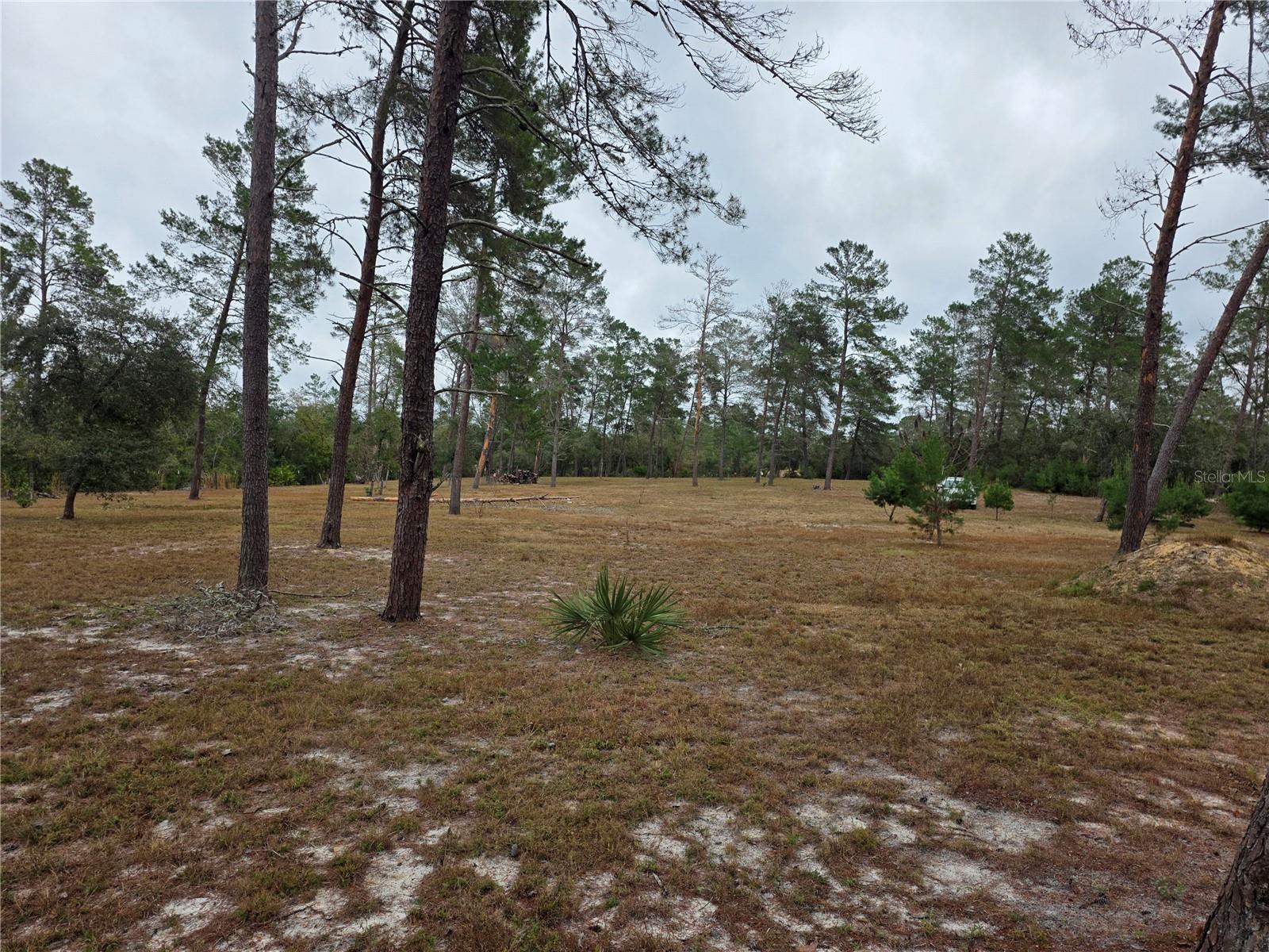 Image 8 of 9 For Cooter Pond Road