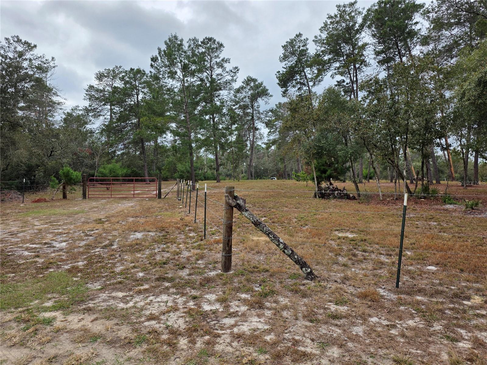 Image 9 of 9 For Cooter Pond Road