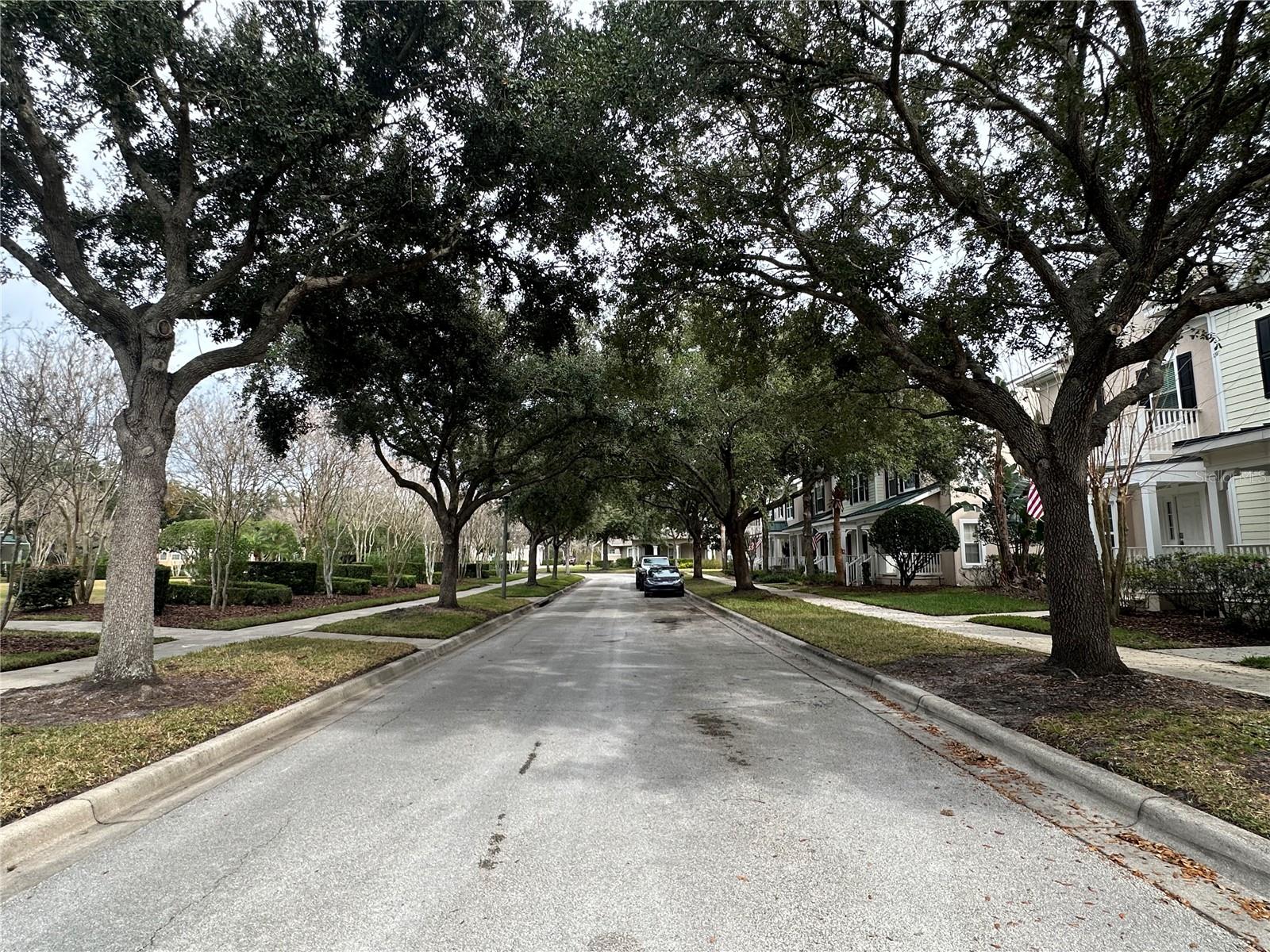 Image 61 of 66 For 8929 Silk Bay Place