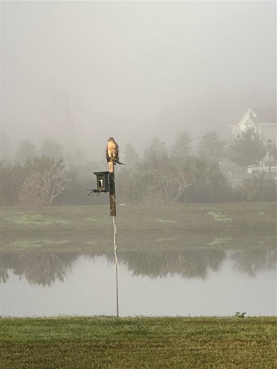 Image 60 of 69 For 2206 Weatherly Way