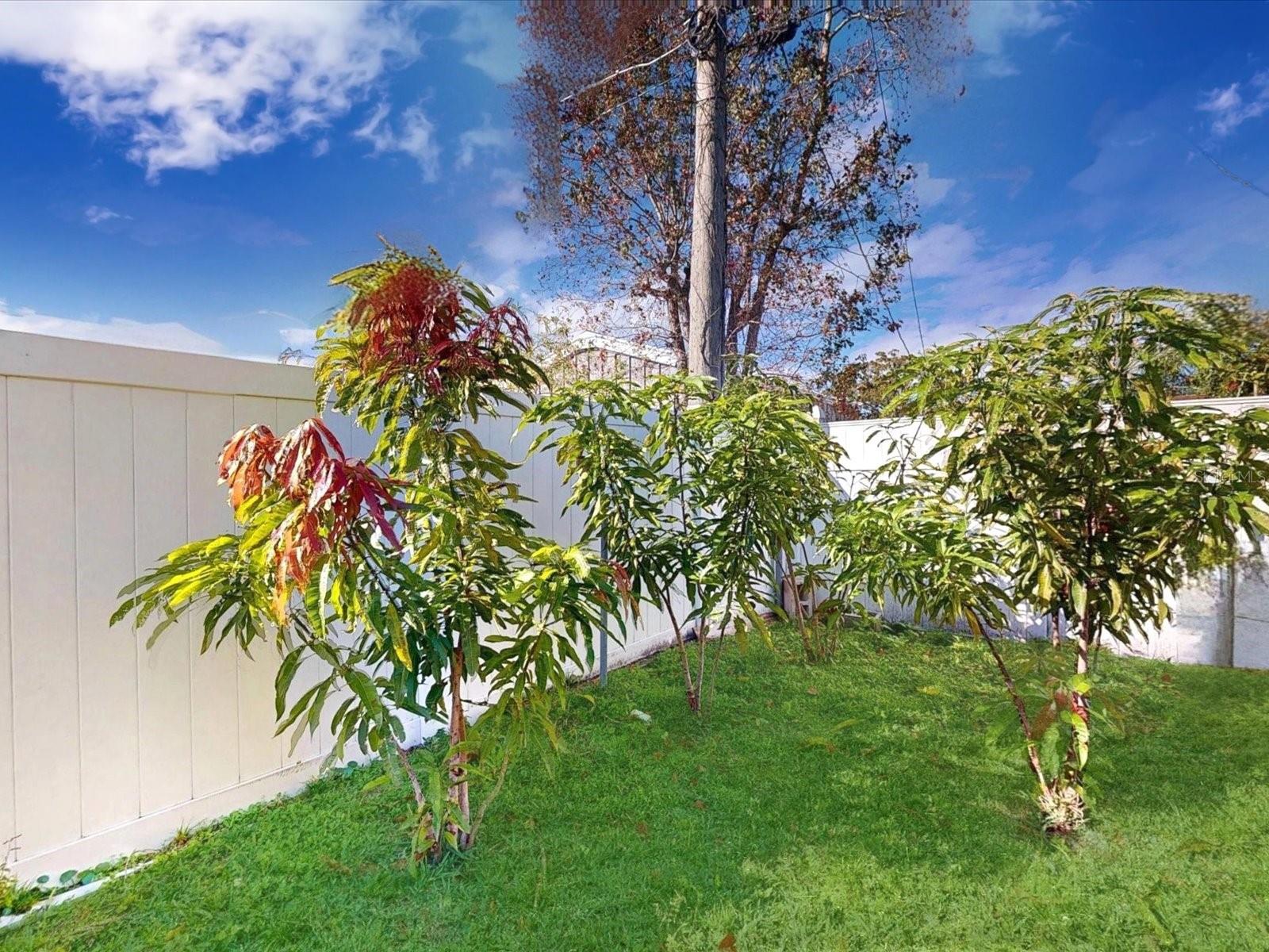 Image 30 of 30 For 2615 Cecile Street