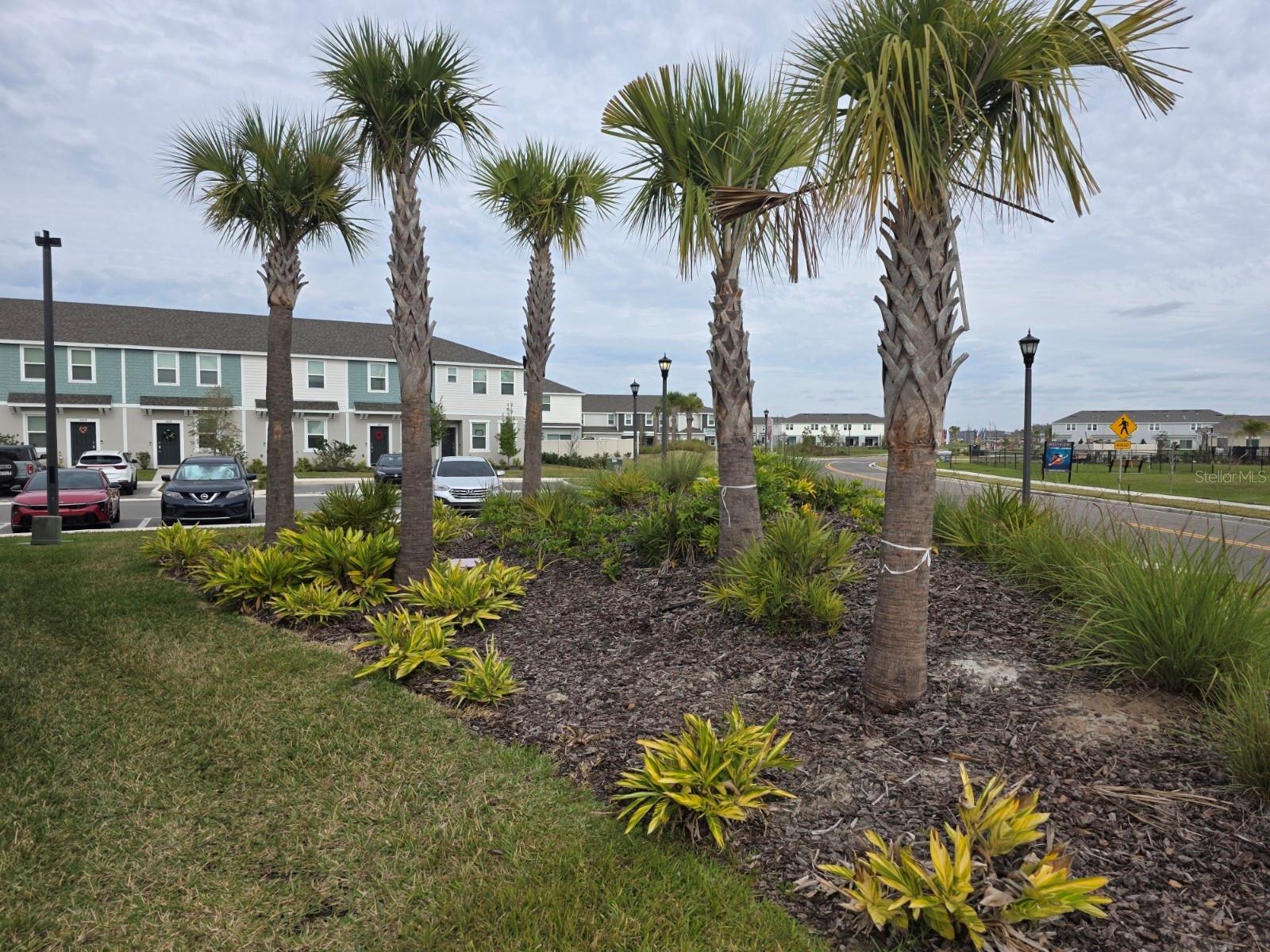 Image 22 of 28 For 3318 Composition Street