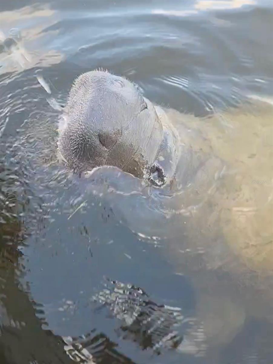 Image 36 of 37 For 1210 Maryknoll Road