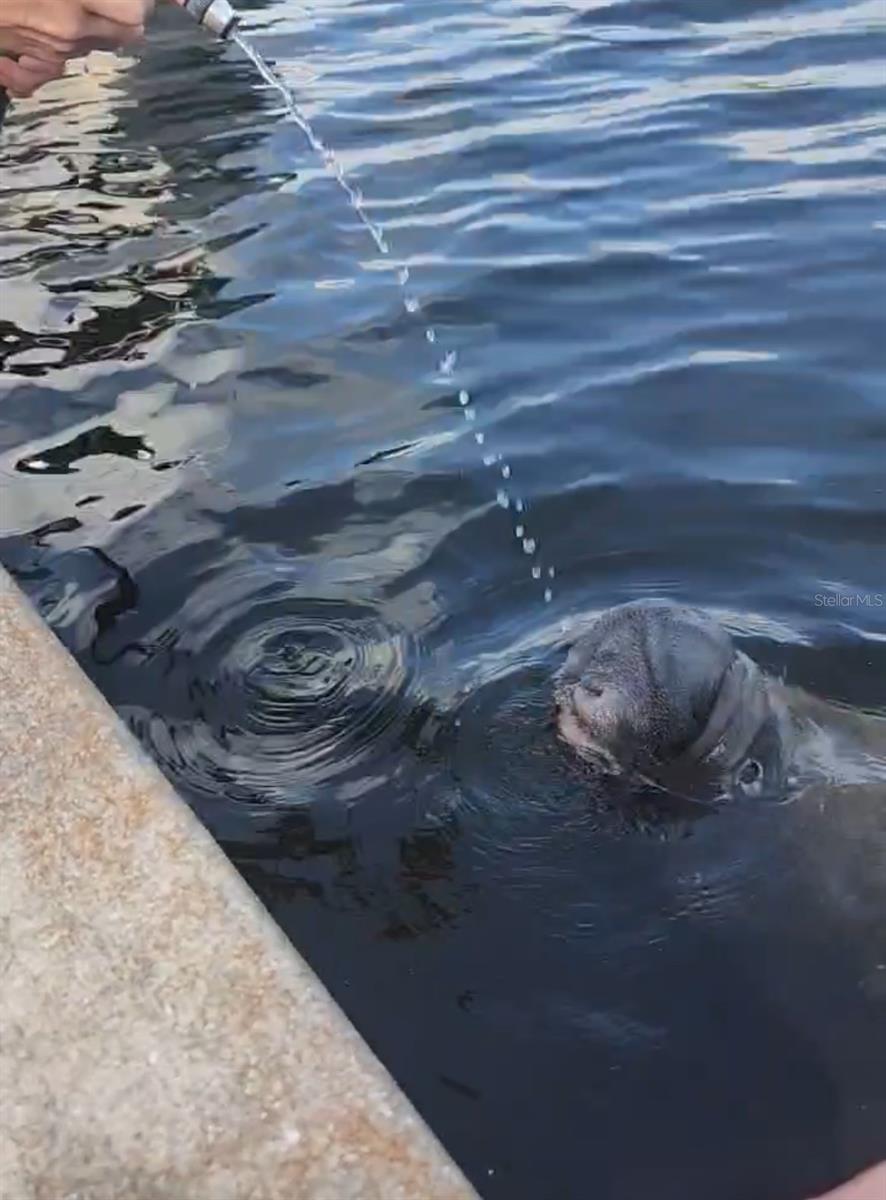 Image 37 of 37 For 1210 Maryknoll Road