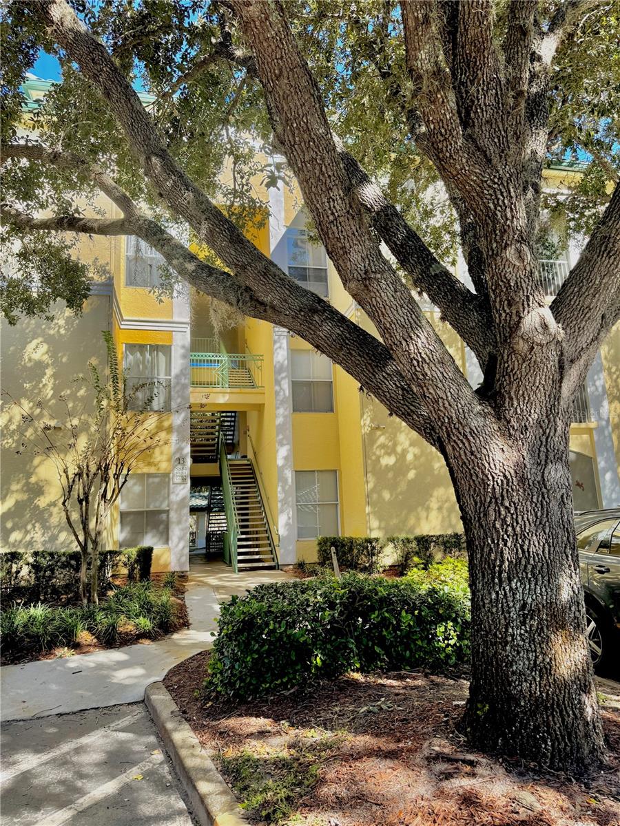 Details for 8834 Dunes Court 13 103, KISSIMMEE, FL 34747