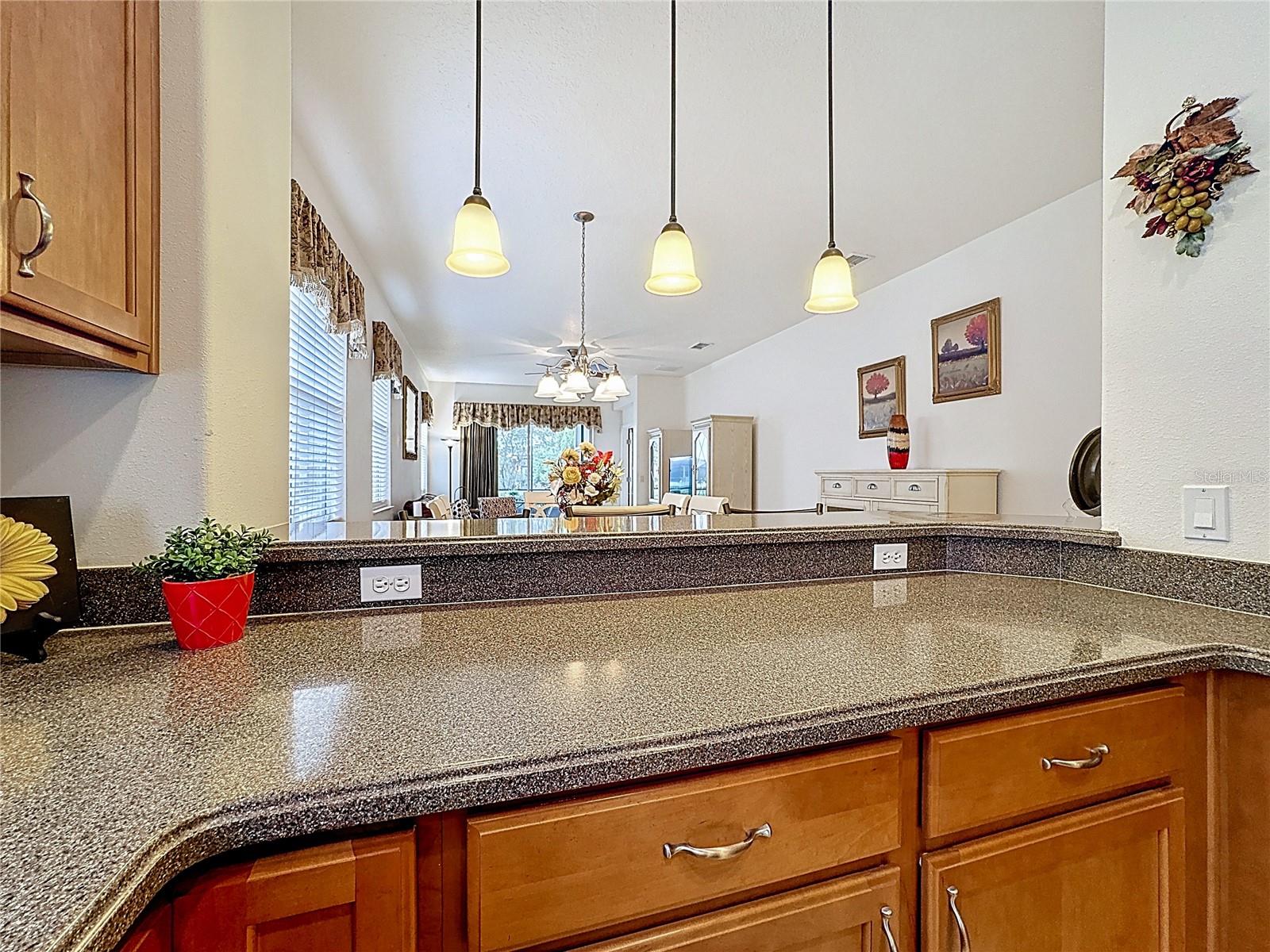 Image 19 of 77 For 2711 Palm Tree Drive