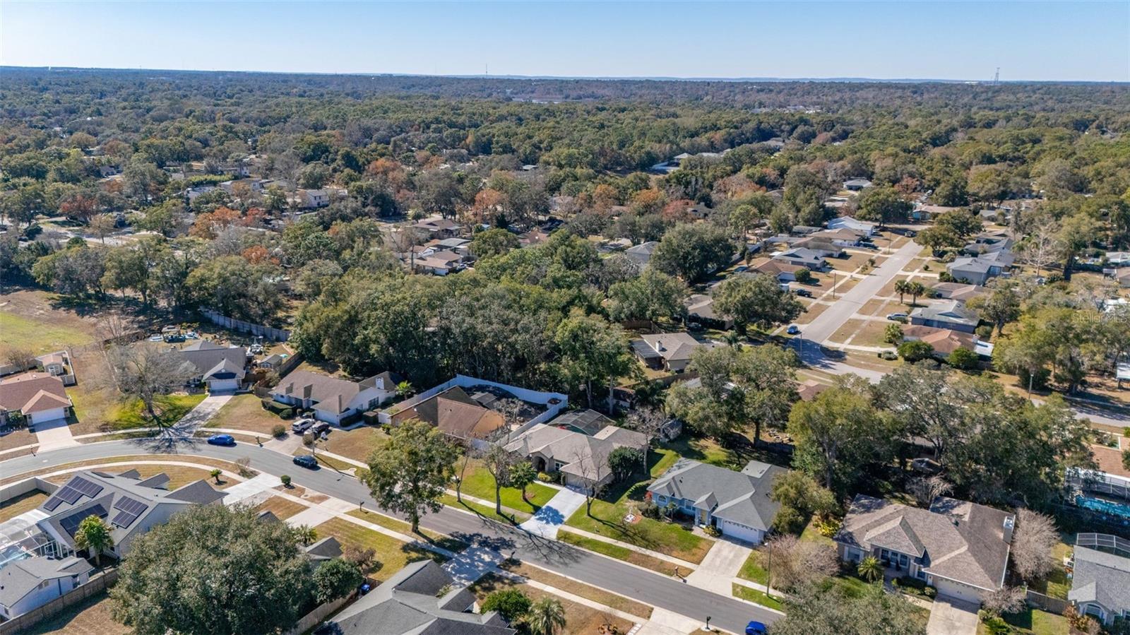 Image 54 of 80 For 1737 Queen Palm Drive