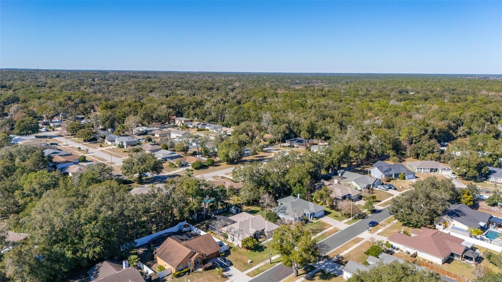 Image 58 of 80 For 1737 Queen Palm Drive