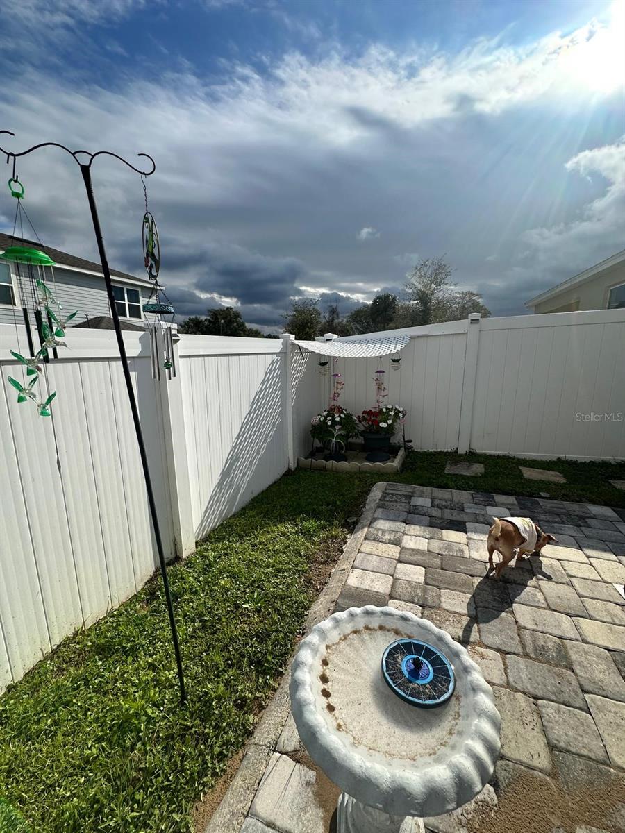 Image 35 of 46 For 3134 Amaranth Street