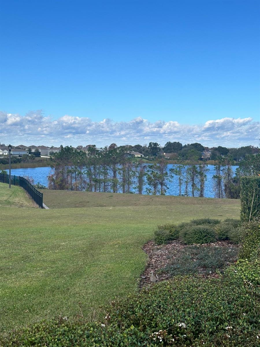 Image 46 of 46 For 3134 Amaranth Street