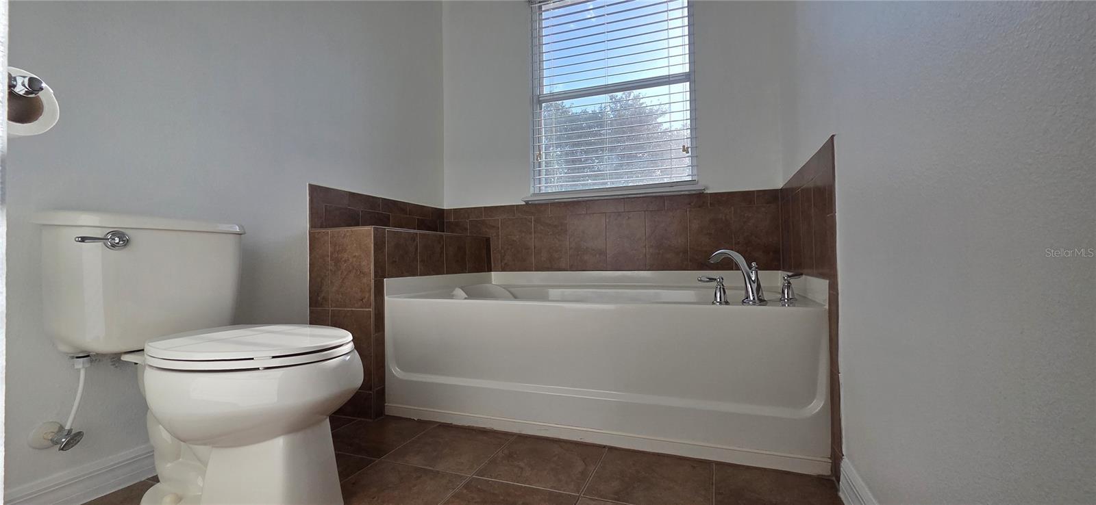 Image 17 of 34 For 9478 Silver Buttonwood Street