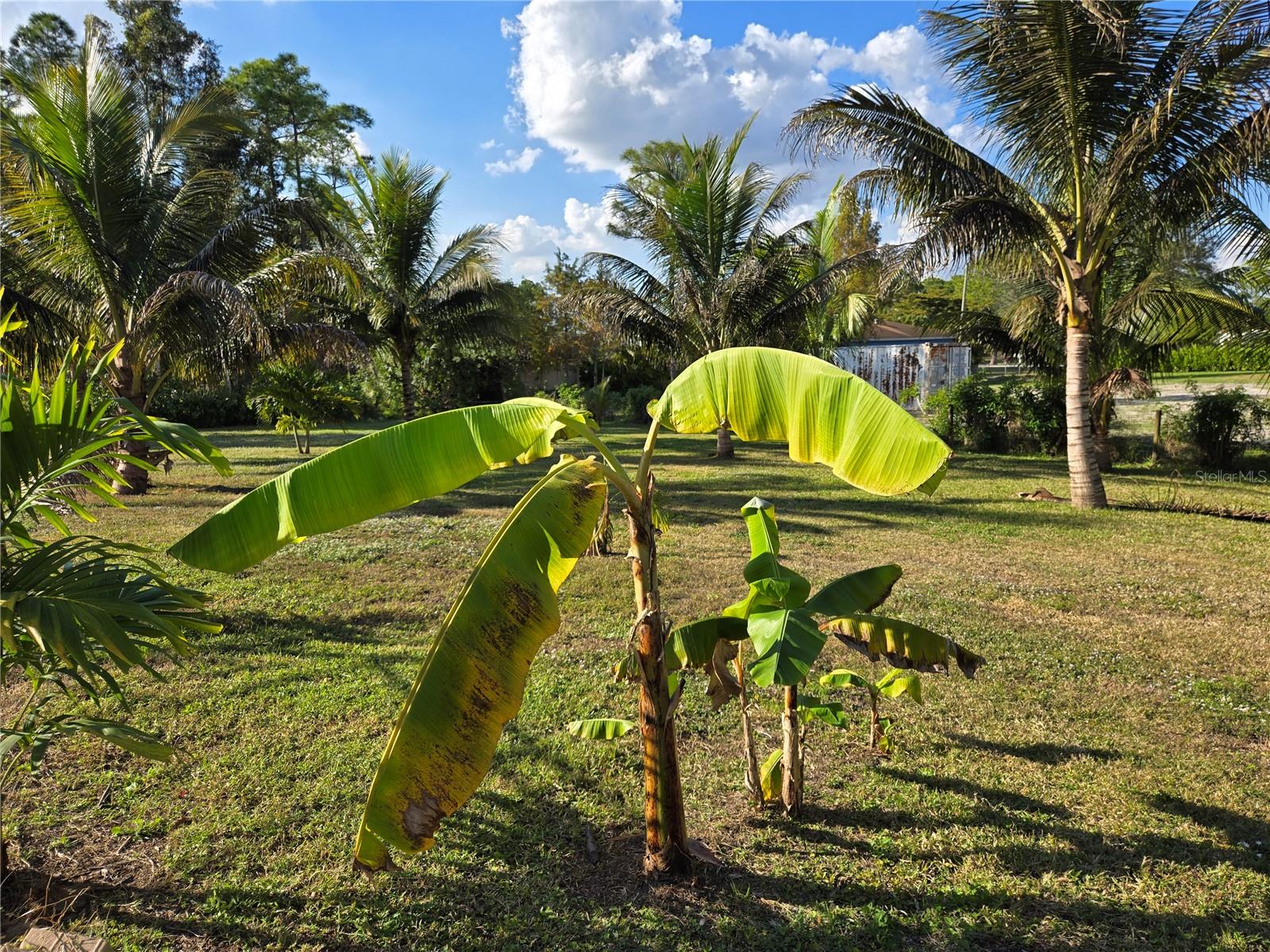 Image 10 of 16 For 17927 77th Lane N