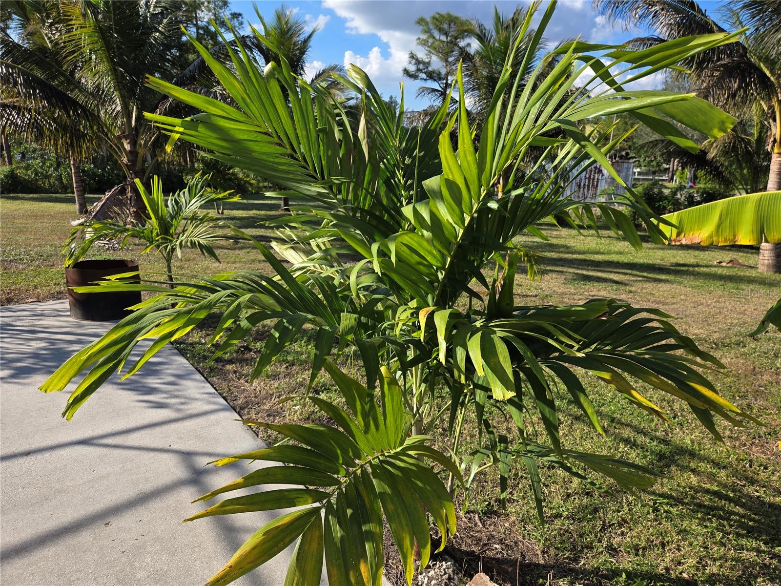 Image 11 of 16 For 17927 77th Lane N