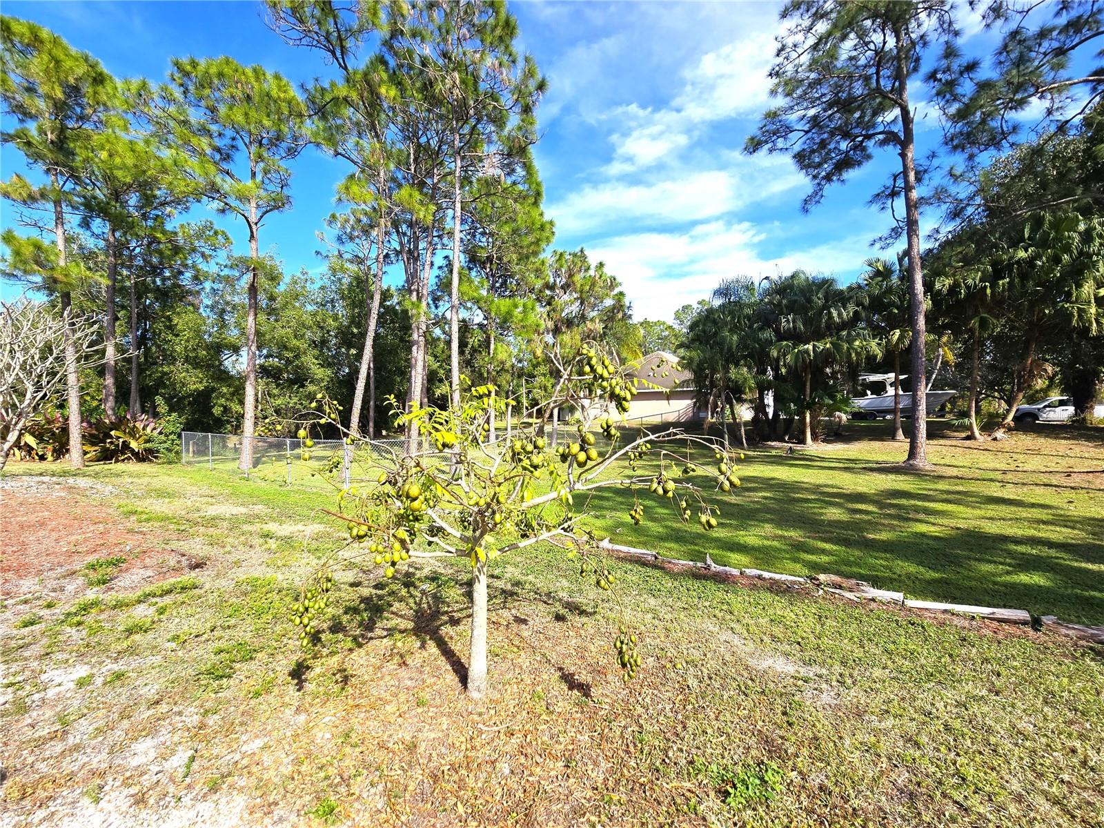 Image 12 of 16 For 17927 77th Lane N