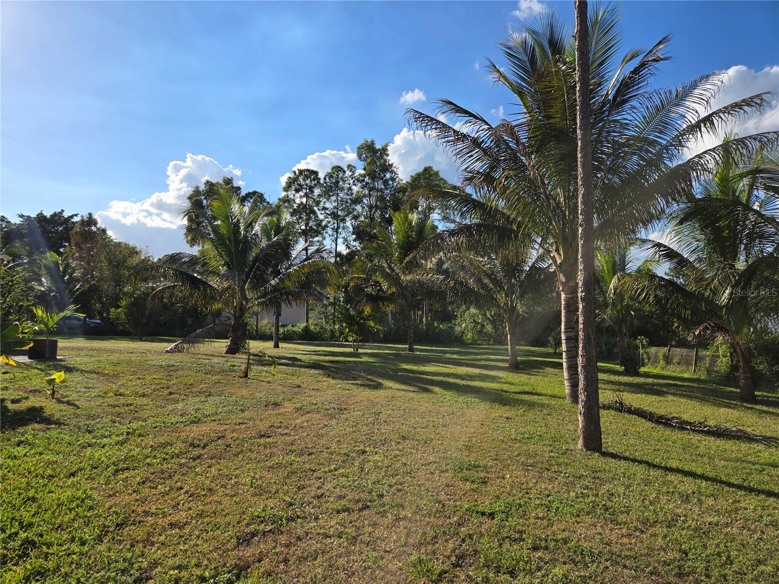 Image 13 of 16 For 17927 77th Lane N