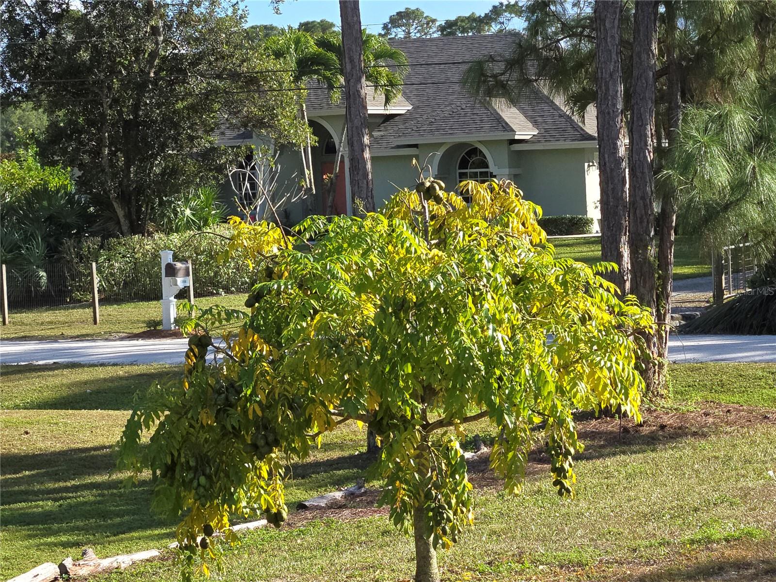 Image 5 of 16 For 17927 77th Lane N