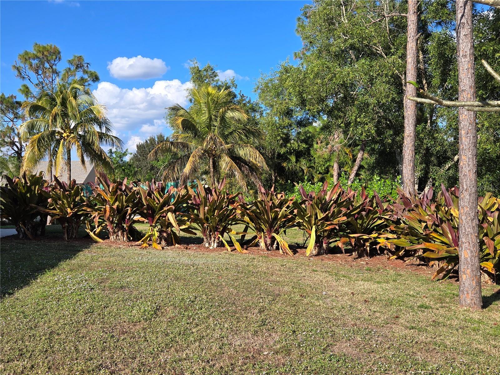 Image 6 of 16 For 17927 77th Lane N