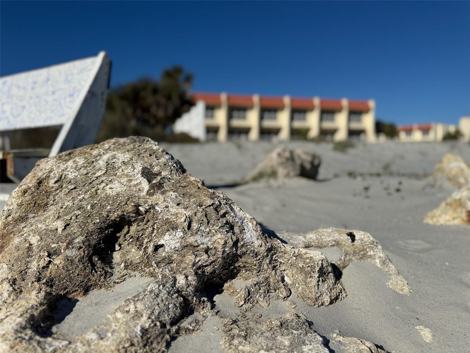 Image 14 of 24 For 390 A1a Beach Boulevard 49