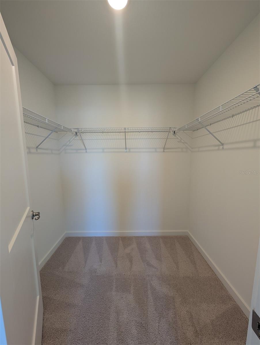 Image 11 of 17 For 1967 Iorio