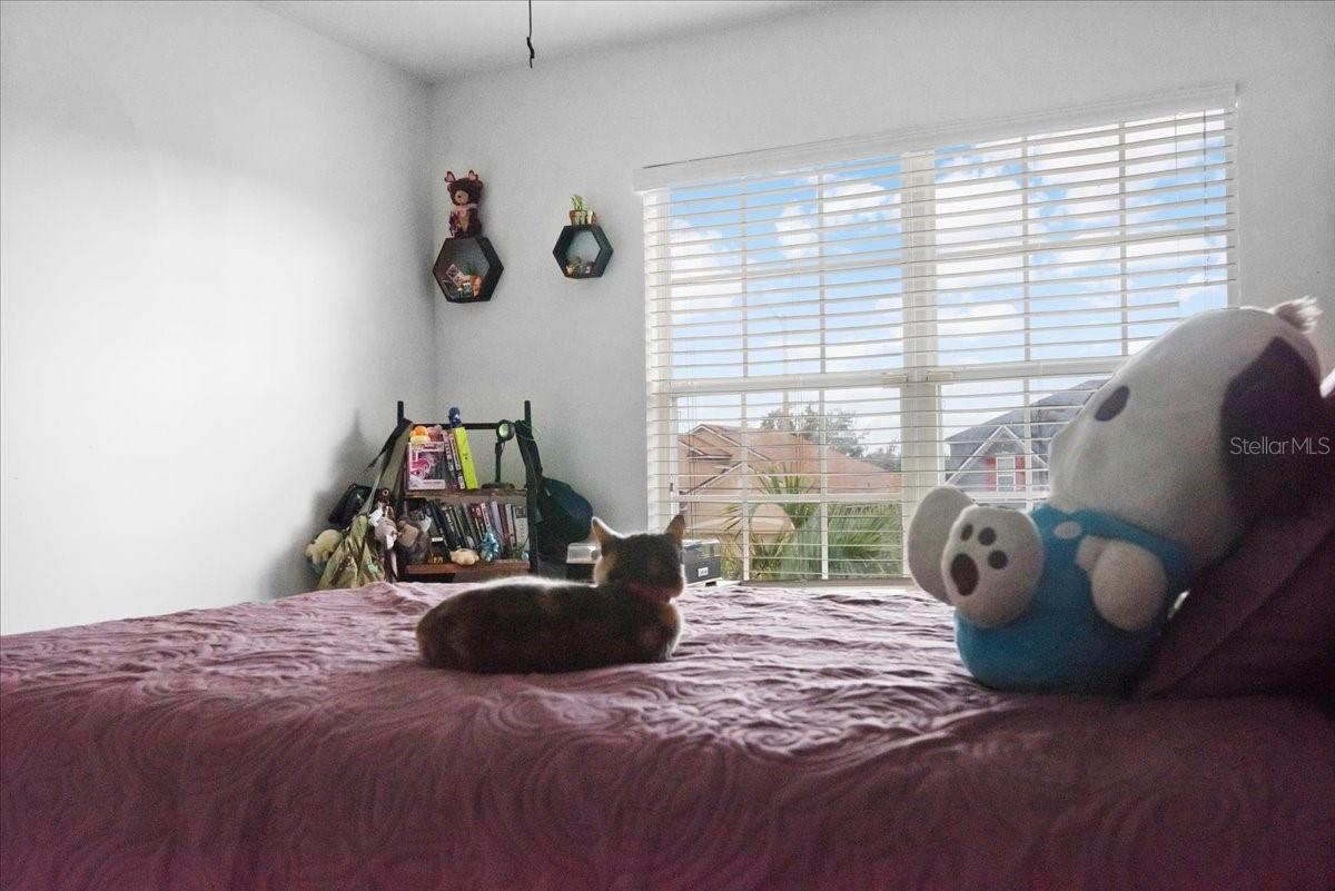 Image 22 of 39 For 5198 Gulf Sturgeon Lane