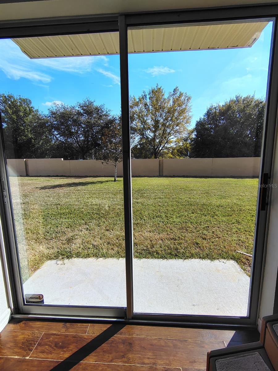 Image 2 of 12 For 9871 Trumpet Vine Loop