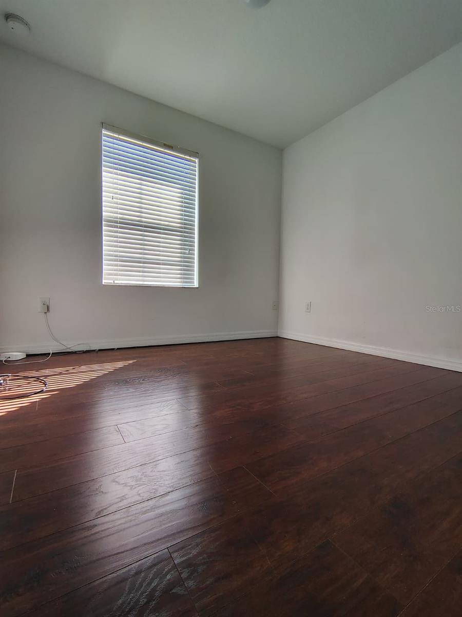 Image 8 of 12 For 9871 Trumpet Vine Loop