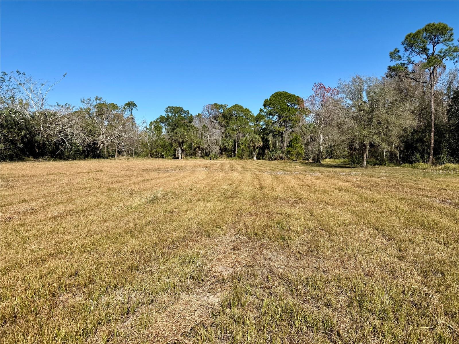 Image 2 of 3 For 8531 Sweetwater Trail