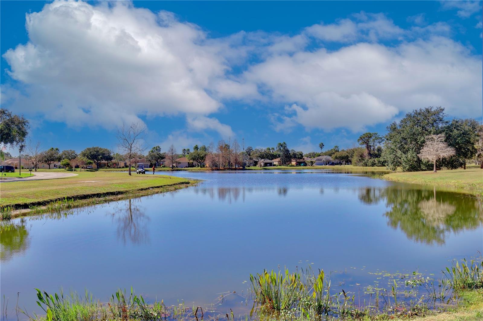 Image 2 of 66 For 217 Lake Cassidy Drive