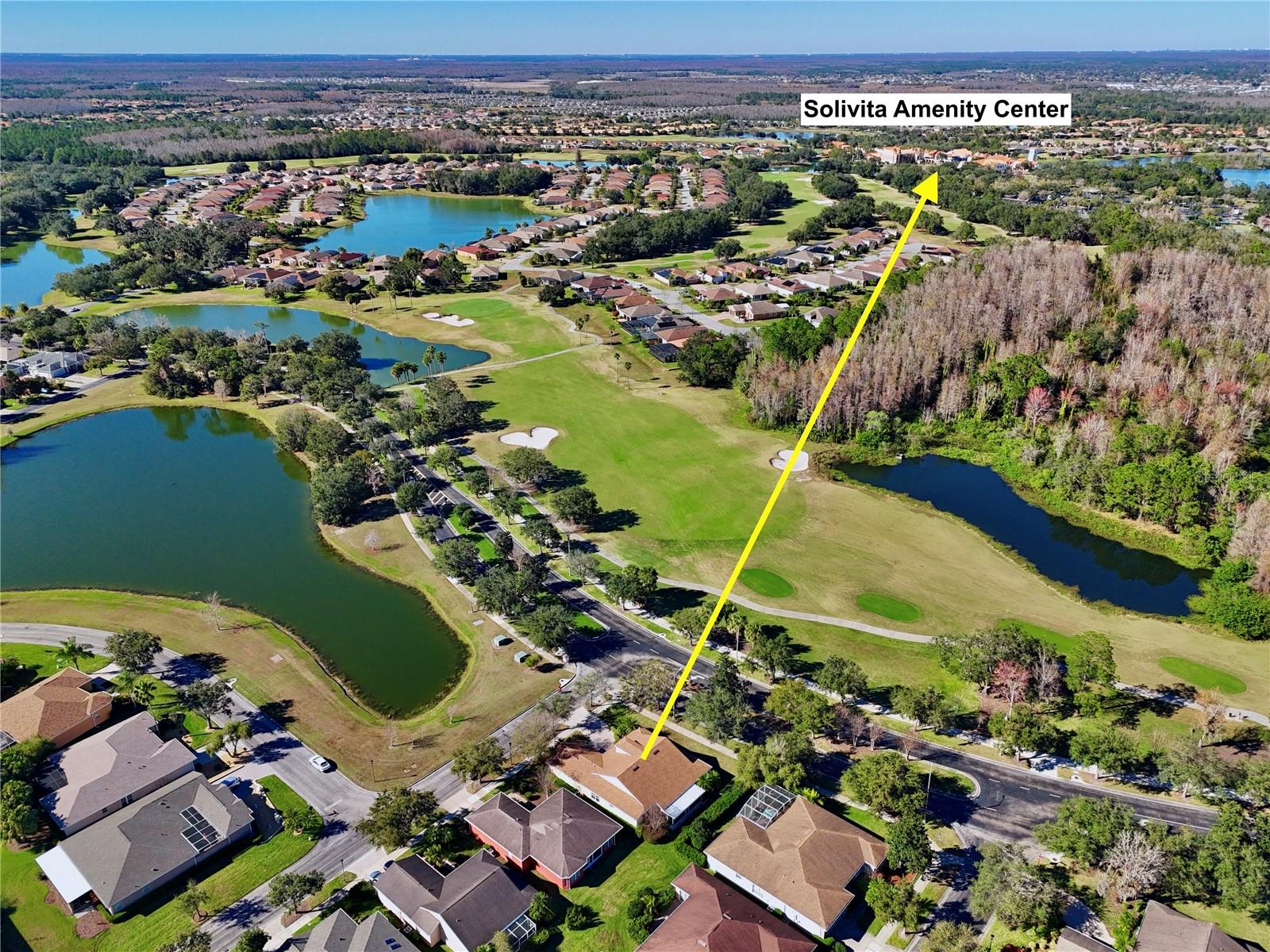 Image 43 of 66 For 217 Lake Cassidy Drive