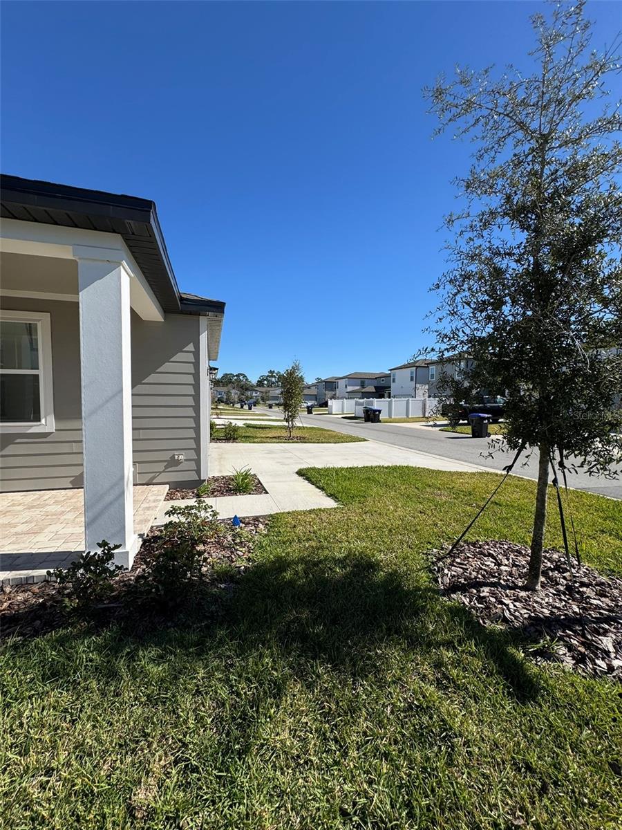 Image 21 of 26 For 11425 Pixie Mandarin Ct