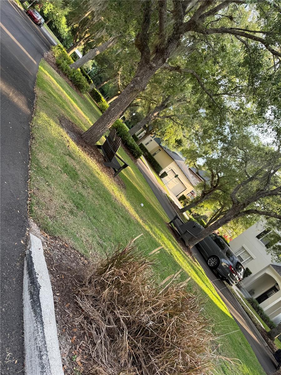 Image 17 of 17 For 1115 Damask Street