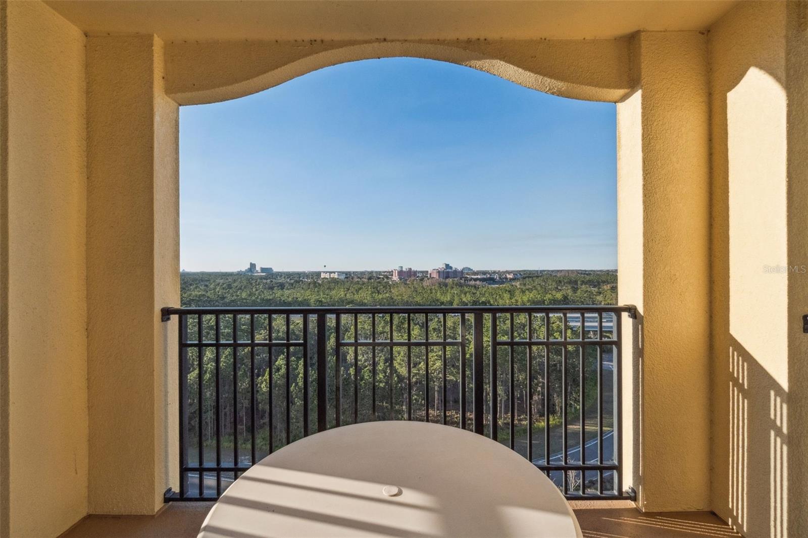 Image 24 of 54 For 8125 Resort Village Drive 51109