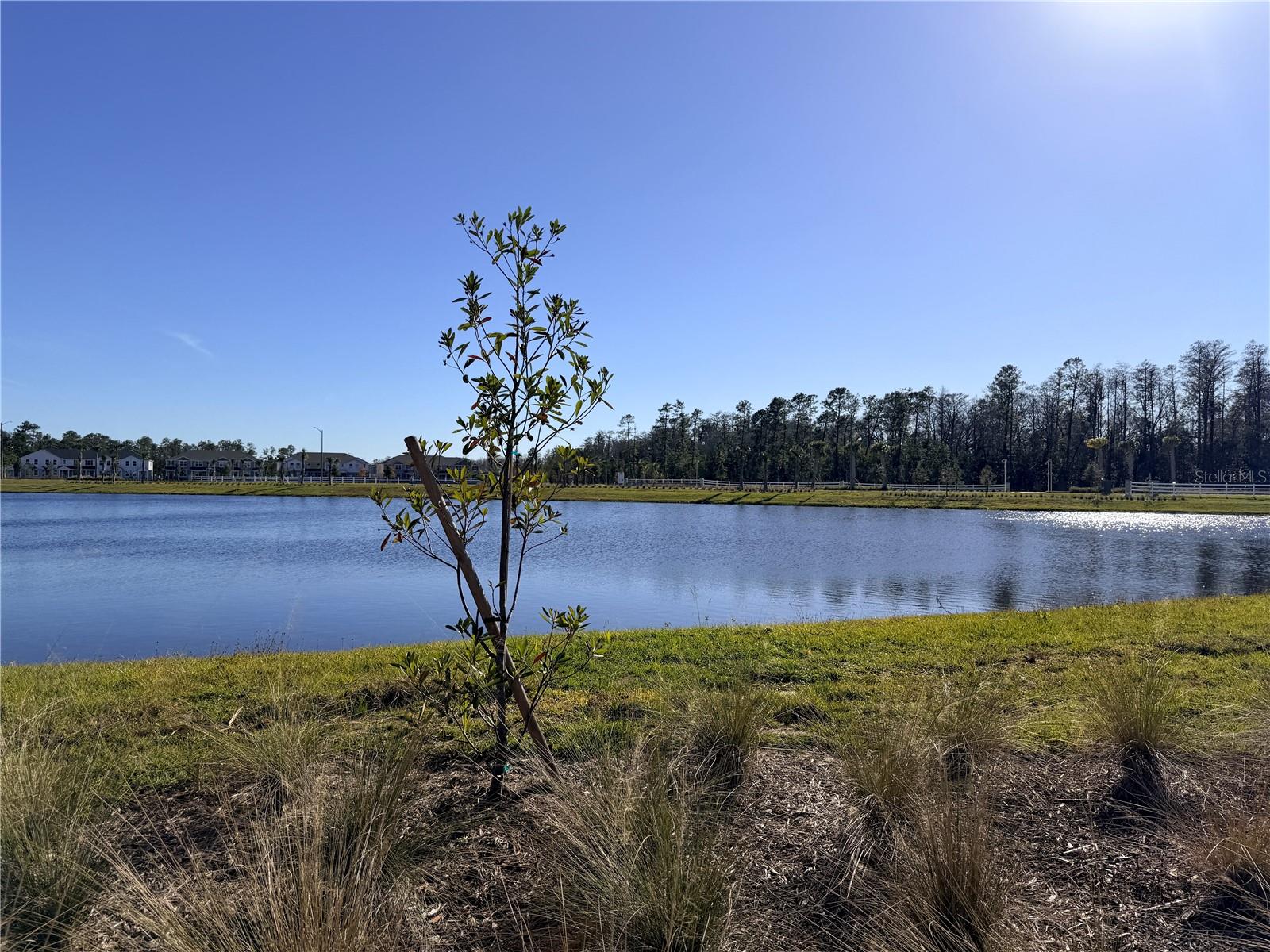 Image 52 of 74 For 9948 Red Canoe Alley