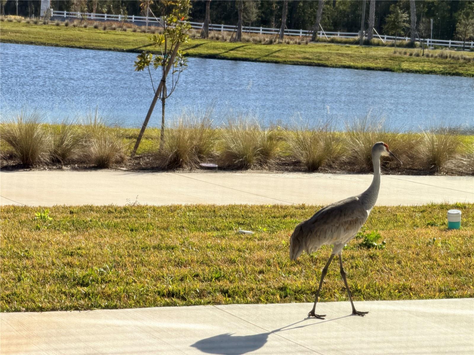 Image 53 of 74 For 9948 Red Canoe Alley