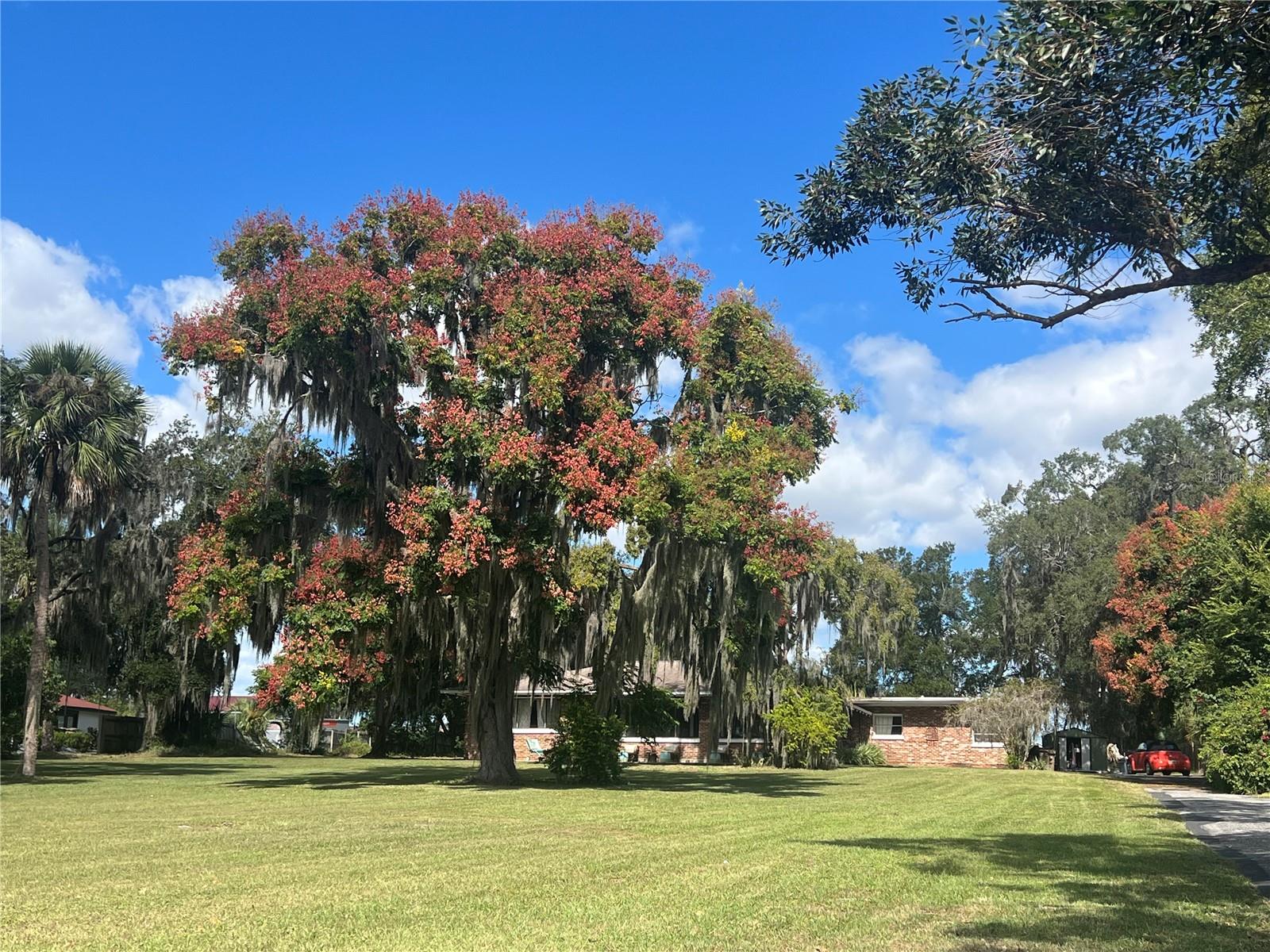 Image 13 of 17 For 9279 Silver Lake Drive